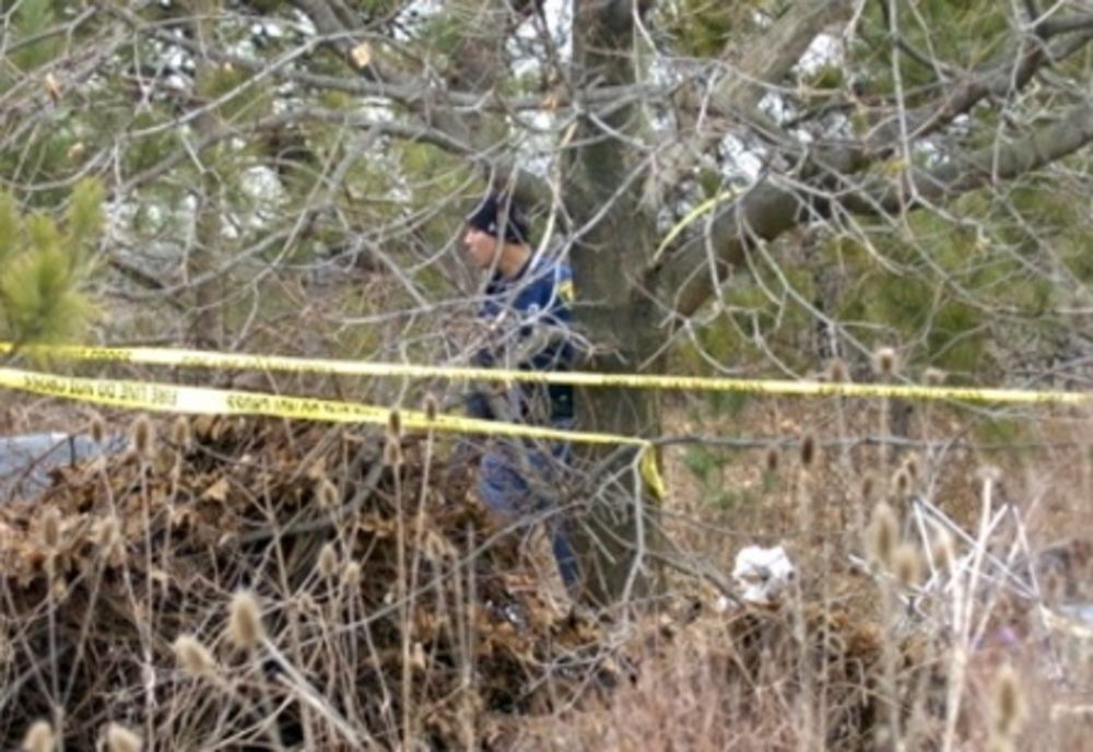 Tragedie într-o pădure din Sălaj! Un bărbat a murit după ce o creangă i-a căzut în cap