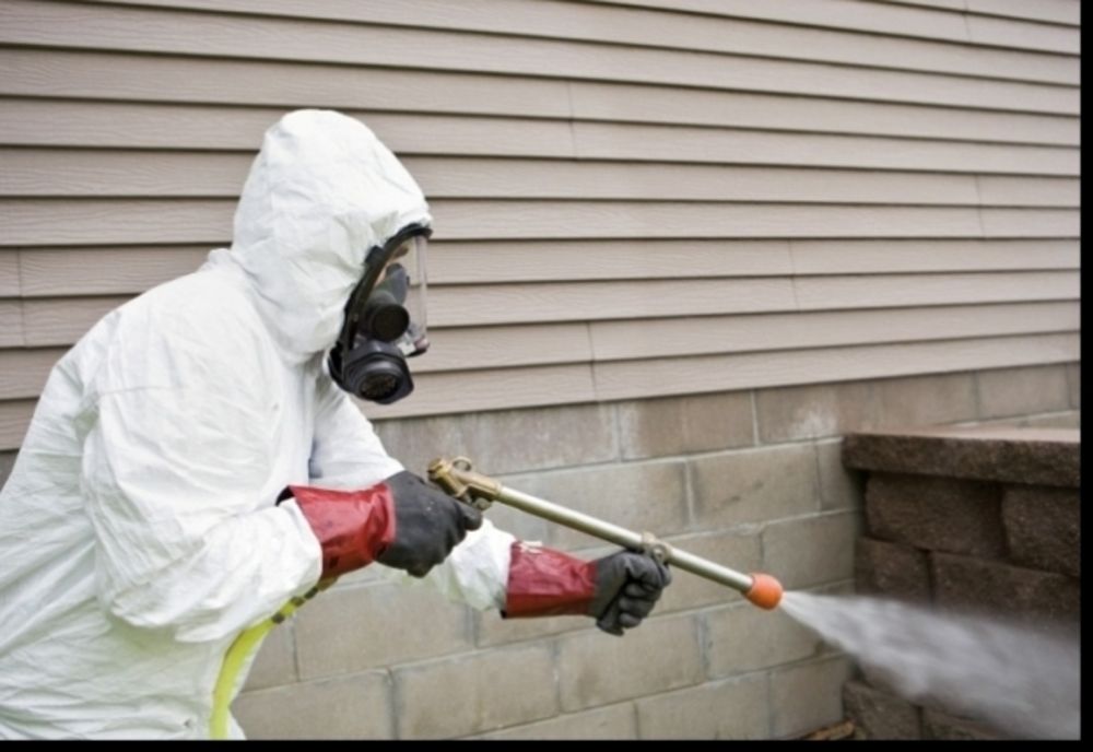 Tratamente de deratizare, dezinsecție și dezinfecție la unitățile de învățământ din municipiul Zalău