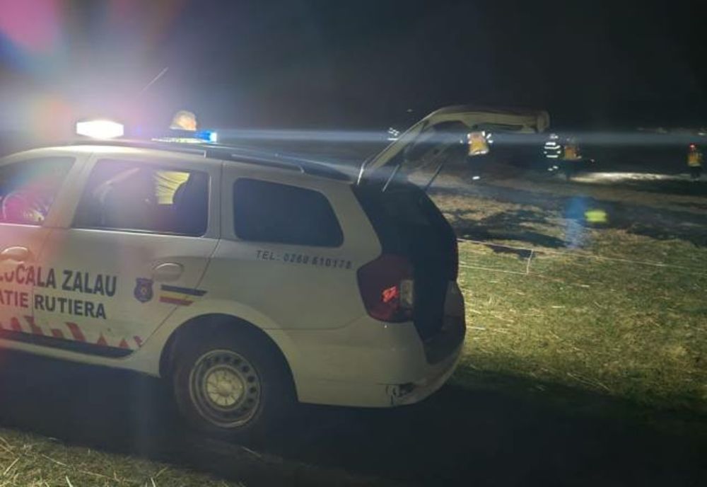 Poliţiştii locali din Zalău implicaţi în stingerea incendiilor de vegetaţie