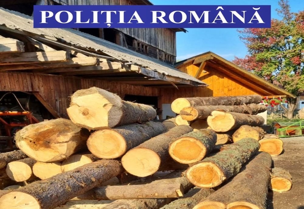 Un tânăr din Românaşi s-a ales cu dosar penal după ce a furat mai mulţi arbori