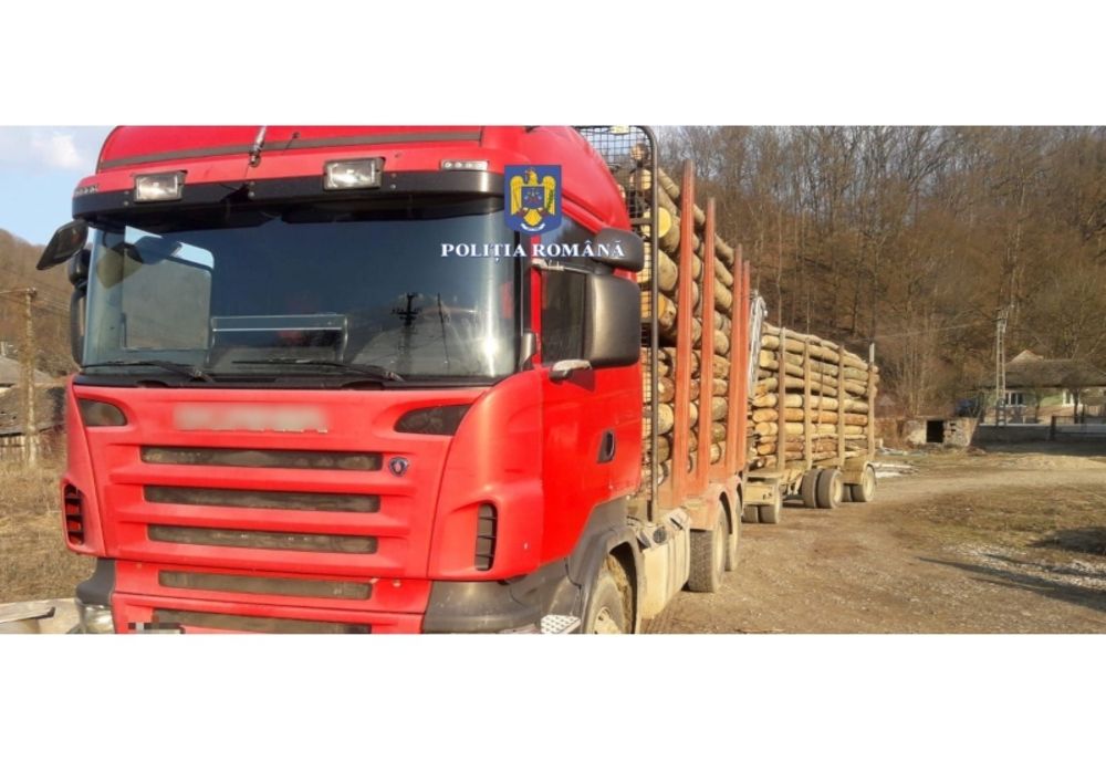 Poliţiştii sălăjeni au confiscat 4 camioane, în valoare de 400 de mii de euro, folosite la transportul ilegal de lemne