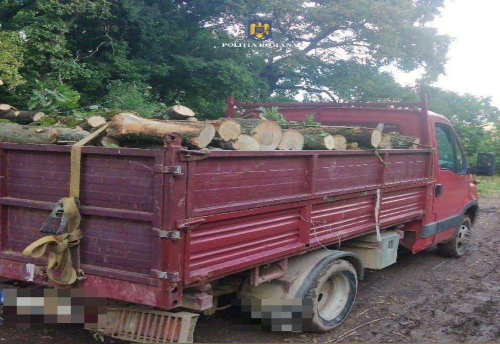 8 amenzi aplicate firmelor din domeniul silvic din Sălaj (FOTO)