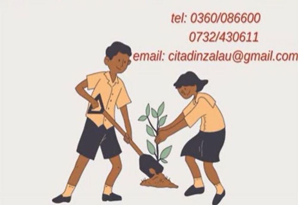 Campanie de plantare de arbori în municipiul Zalău