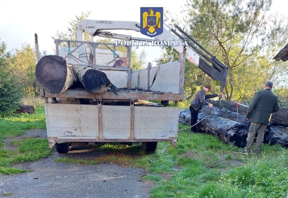 Poliţiştii sălăjeni au confiscat 126 de metri cubi de material lemnos (FOTO)