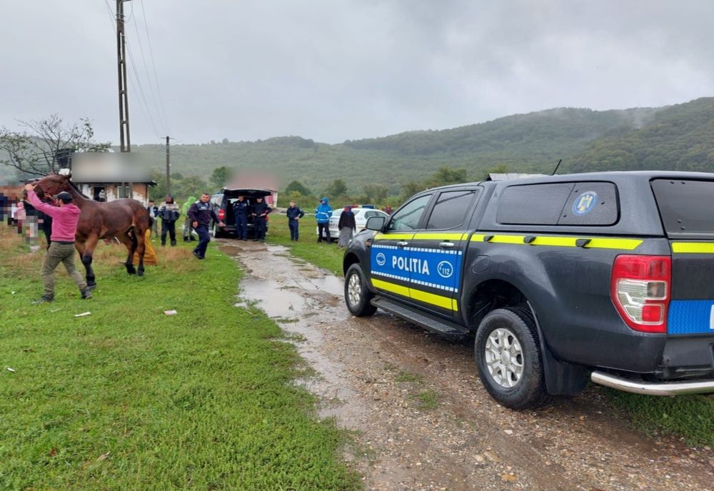 Amplă acţiune derulată de polițiștii și jandarmii sălăjeni! Ce au descoperit (FOTO)