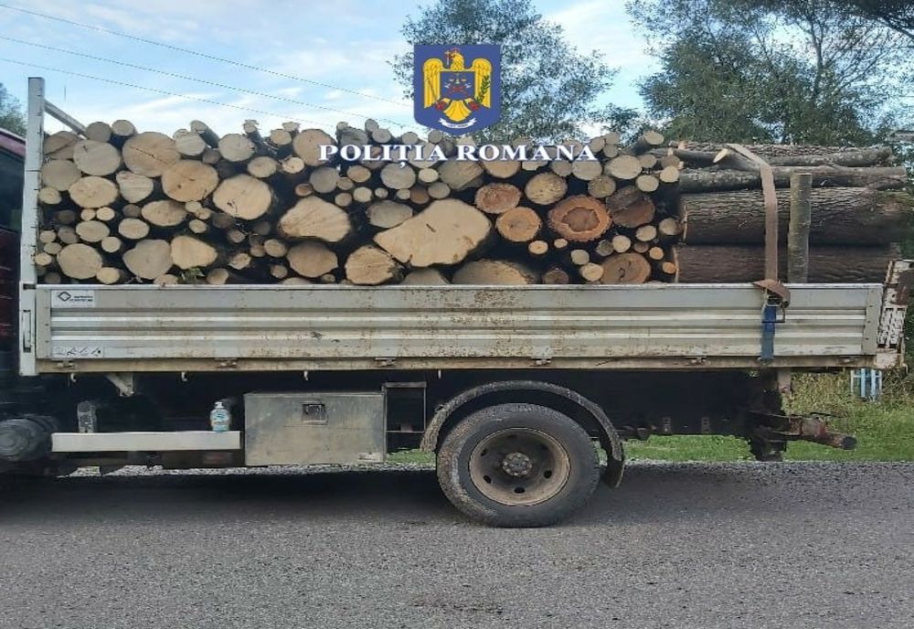 Un sălăjean și un clujean, prinși transportând ilegal lemn! Au fost amendați și au rămas fără marfă