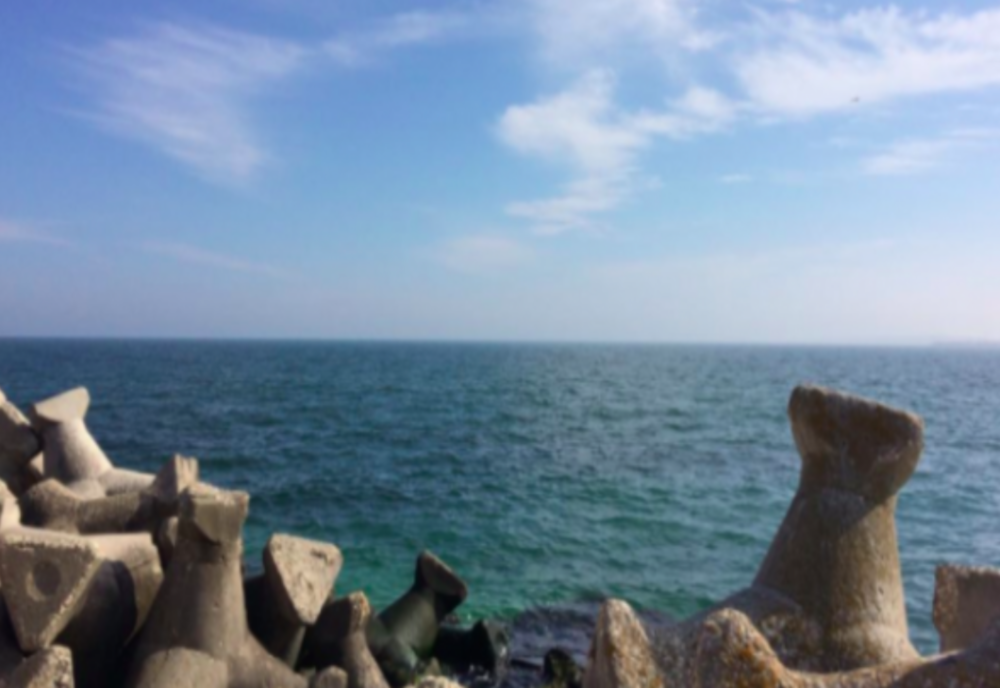 APA MĂRII NEGRE, ÎN PERICOL DE CONTAMINARE CU BACTERIA „VIBRIO”