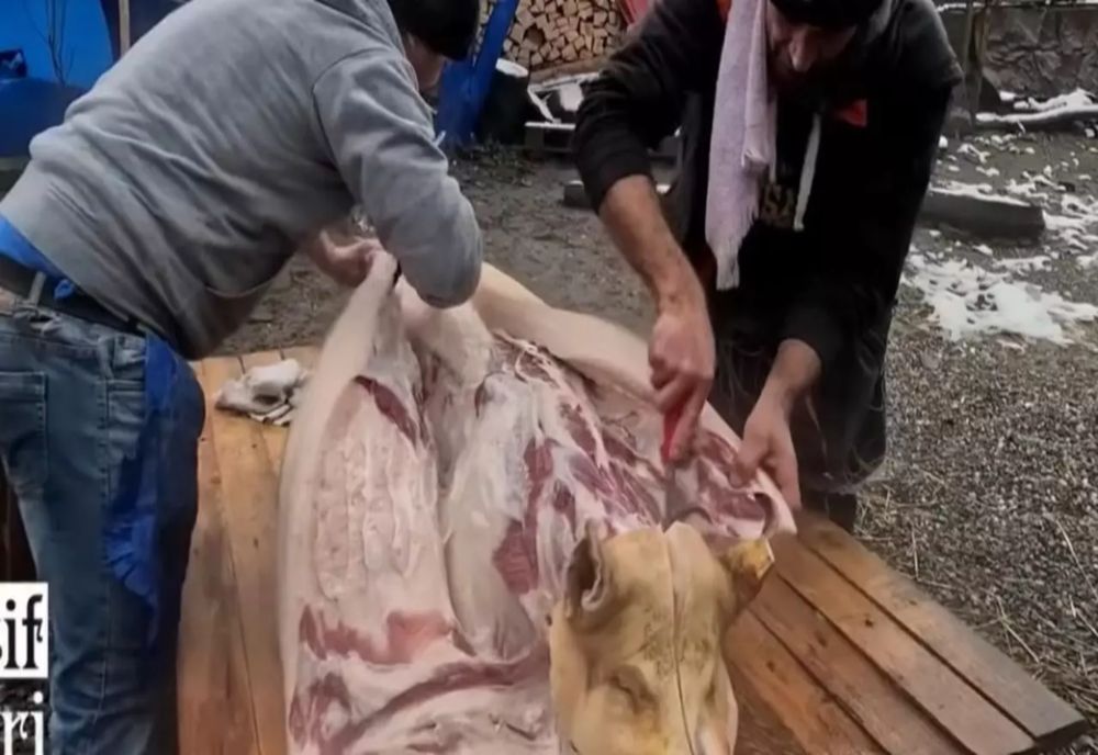 Tăiatul porcului, unul dintre cele mai solide simboluri ale identității rurale românești VIDEO
