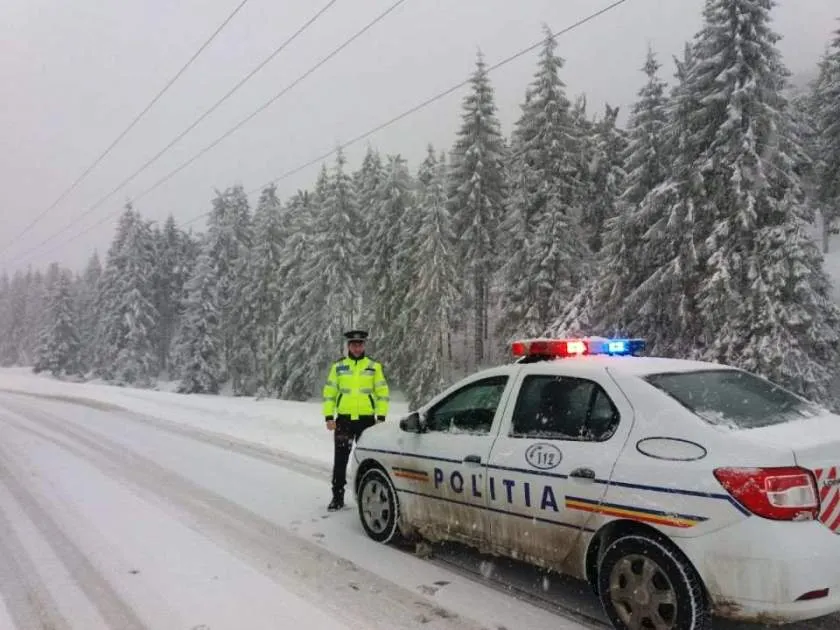 pol iarna