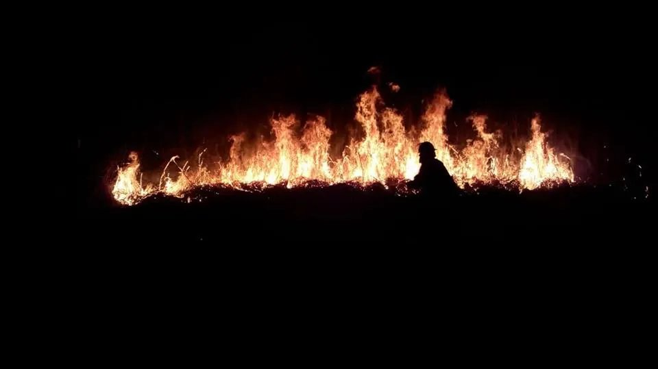 incendiu vegetaţie uscată