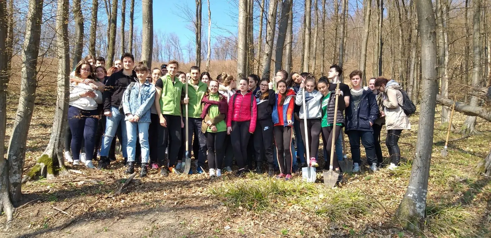 ecOprovocarea 2018-2019 (1)