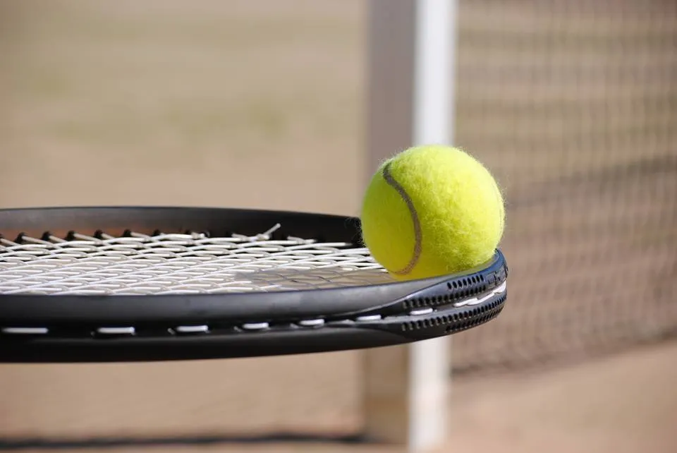 tenis