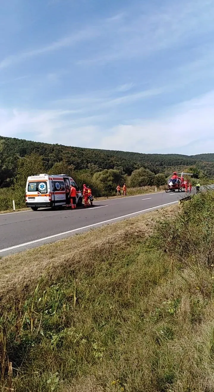 fără titlu