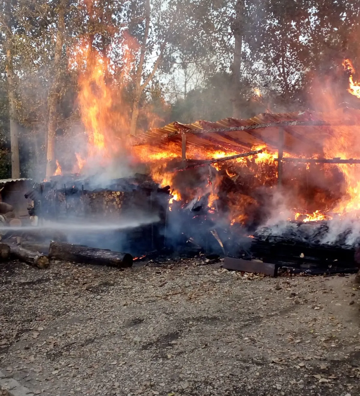 incendiu Cosniciu