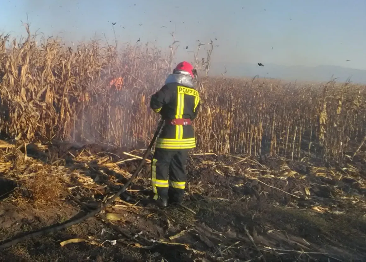 incendiu-vegetatie