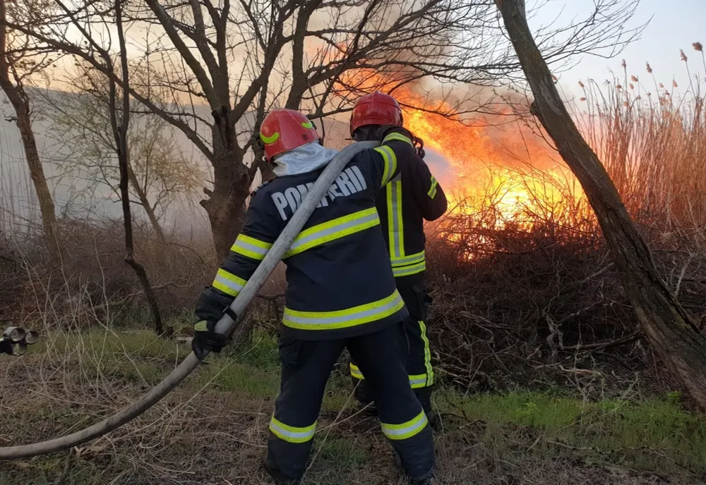 12 hectare de pădure, cuprinse de flăcări. Vântul puternic îngreunează intervenția pompierilor