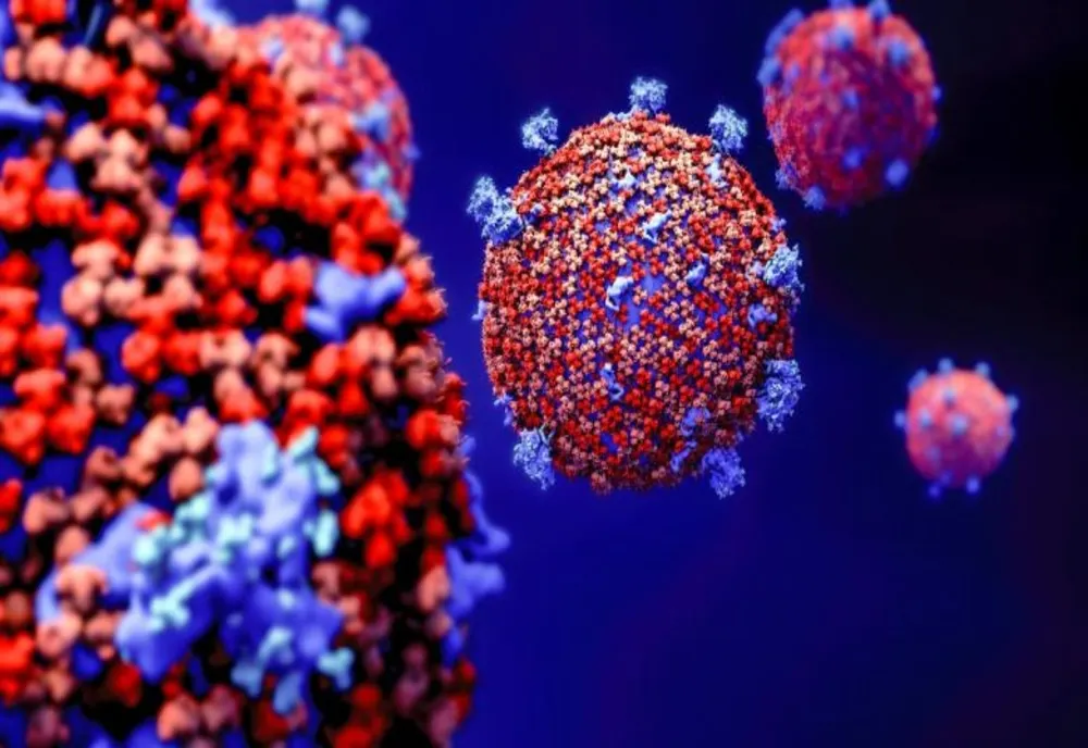Noi date despre noua tulpină de coronavirus