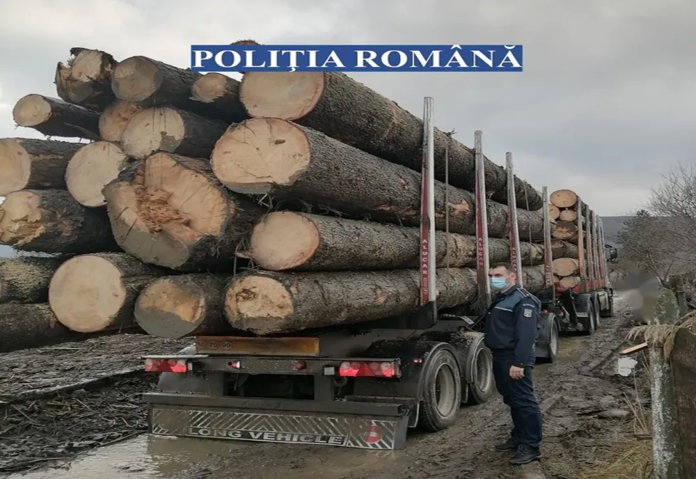 Masă lemnoasă confiscată de poliţiştii sălăjeni! Doi bărbaţi au fost amendaţi