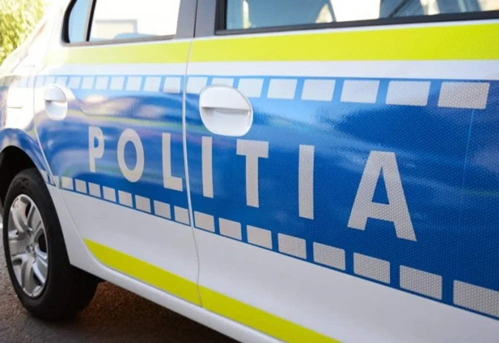 Doi bihoreni, cercetați pentru furt de polițiștii sălăjeni