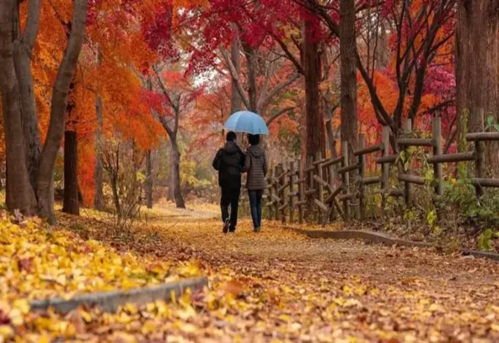 Vremea 13 noiembrie - Ceață și burniță în mare parte din țară - Urmează temperaturi ridicate, prognoza completă