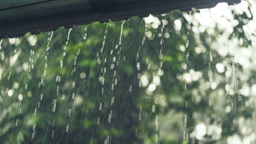 Prognoza ANM, ploi și vânt puternic