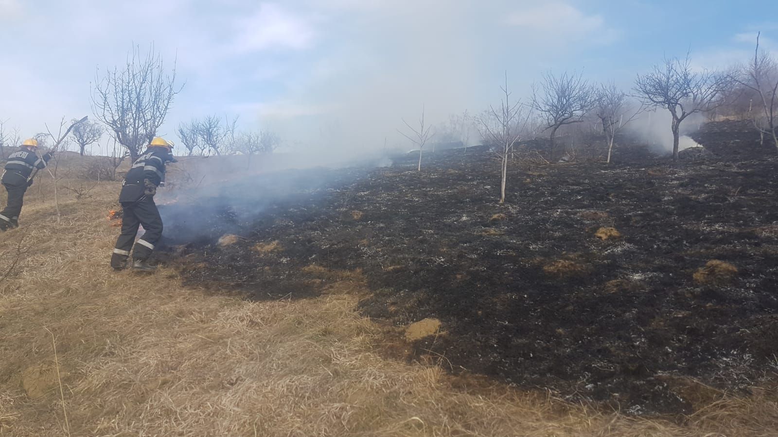 incendiu vegetatie 2