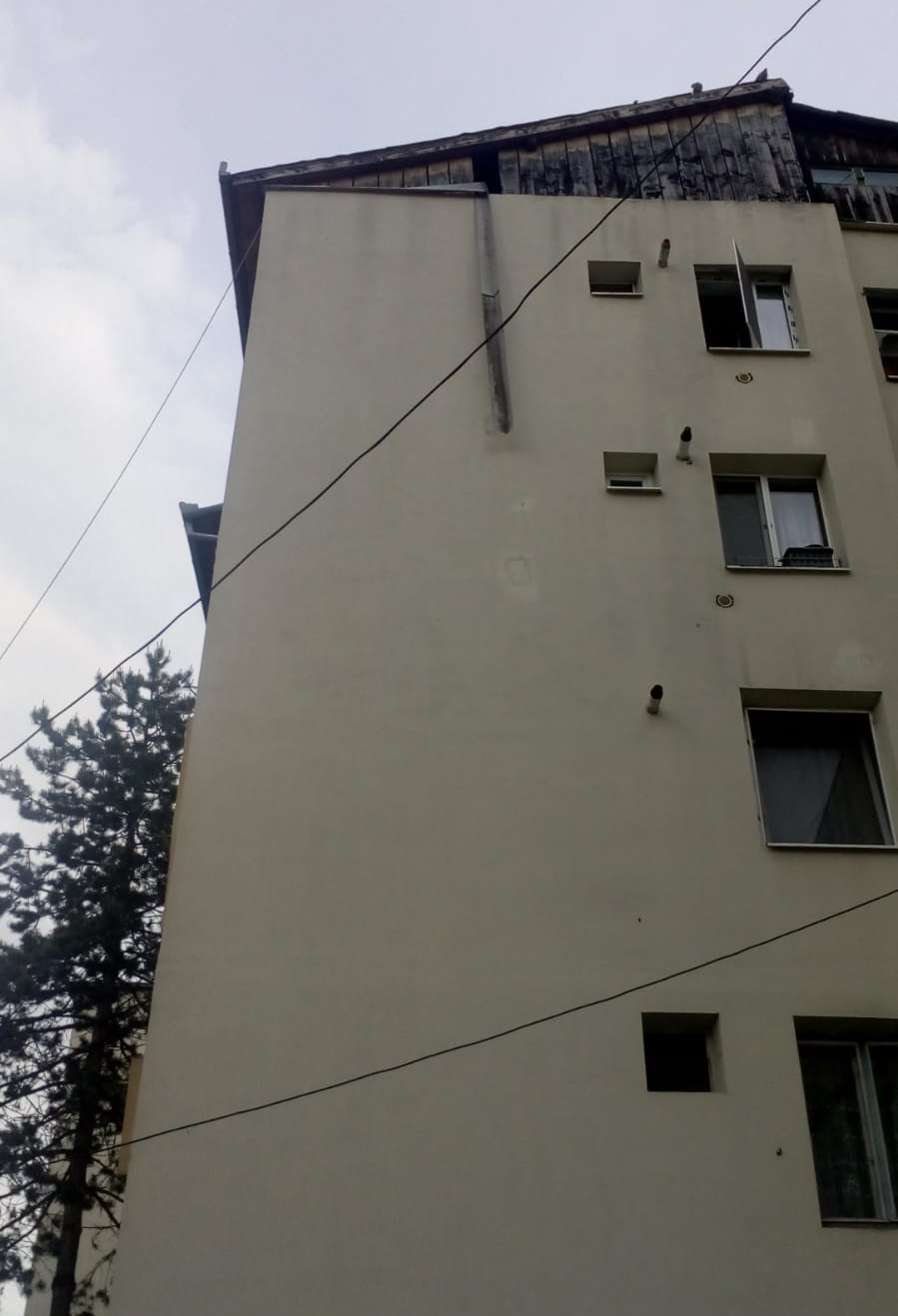 fără titlu