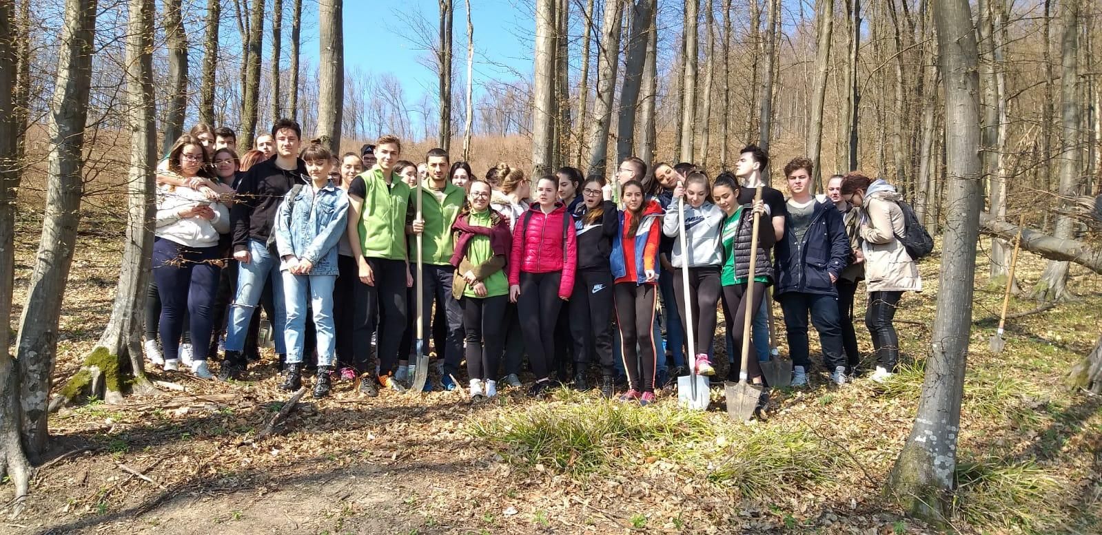 ecOprovocarea 2018-2019 (1)