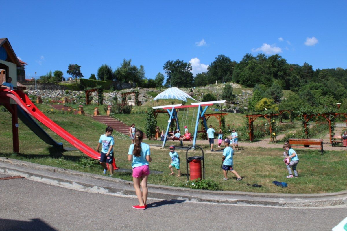 activitati recreative cj