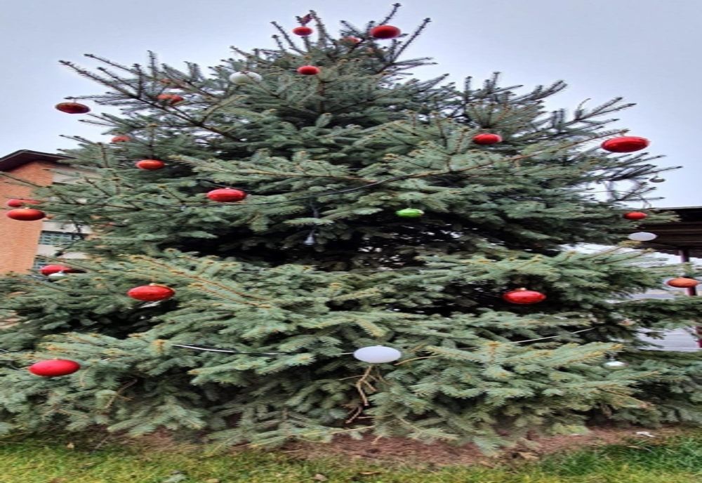 Cum împodobim bradul de Crăciun?