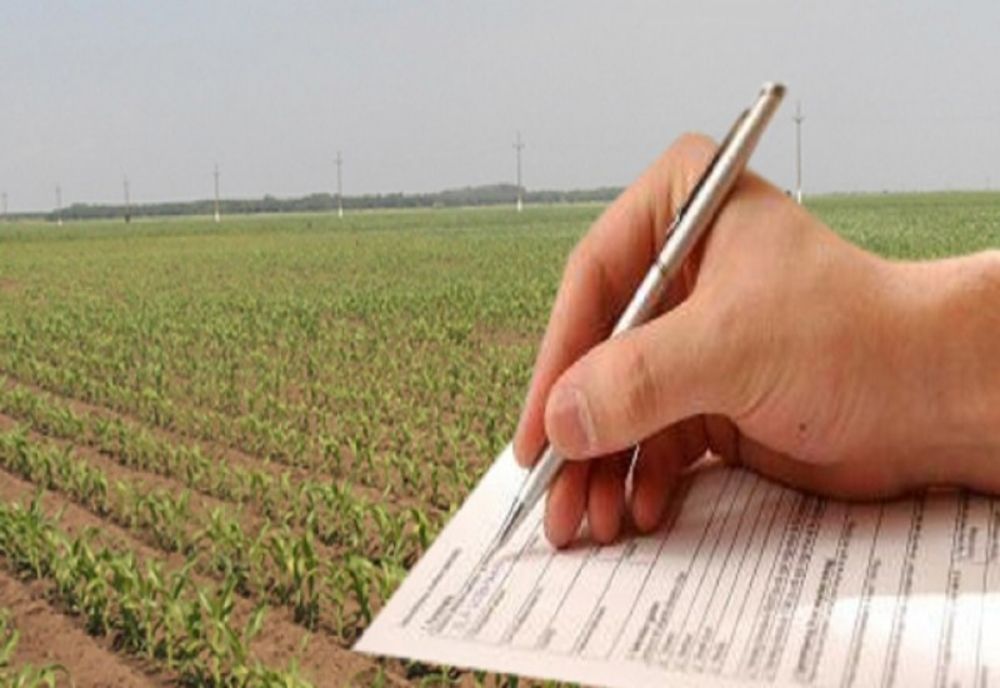 Stadiul depunerii Cererilor Unice de Plată în cadrul Campaniei 2020