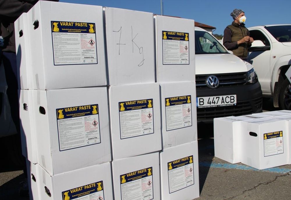 La Zalău au început acţiunile de deratizare și dezinsecție