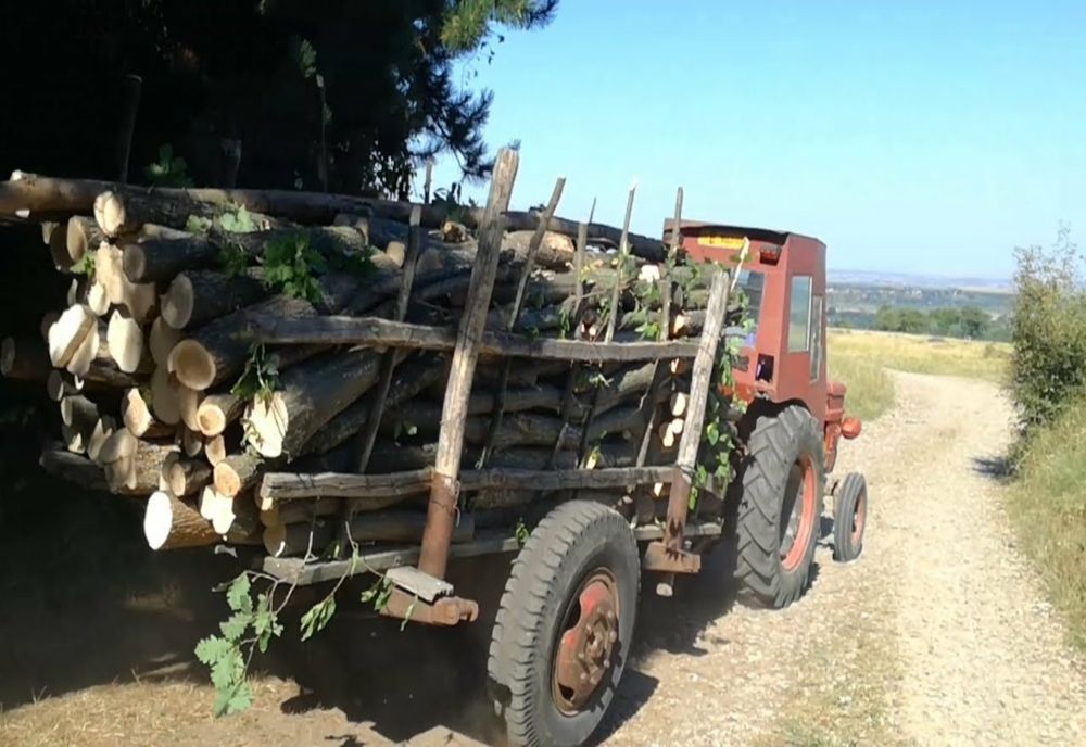 Controale pe linia silvică în judeţul Sălaj! Doi bărbaţi au fost amendaţi