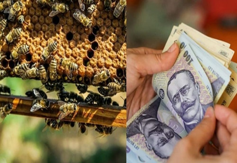 APIA a efectuat plăți pentru circa  7.100 de beneficiari ai Programului Naţional Apicol 2021