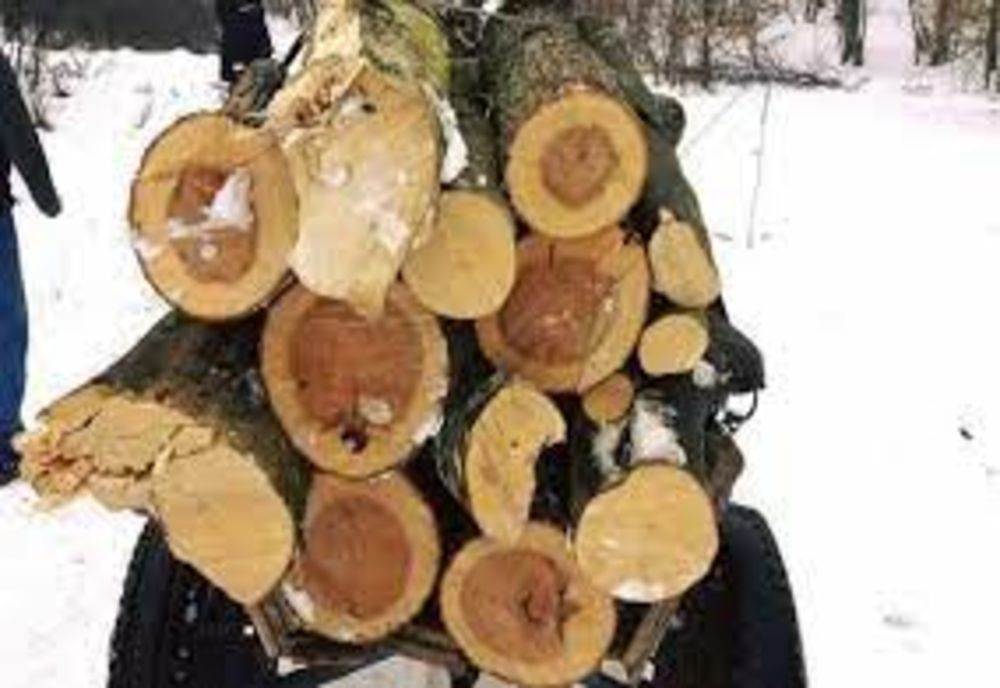 Sălăjeni prinși transportând material lemnos, fără documente legale! Au fost amendați și au rămas și fără marfă