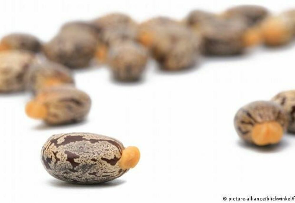 Un român a vrut să cumpere o armă chimică pentru a ucide