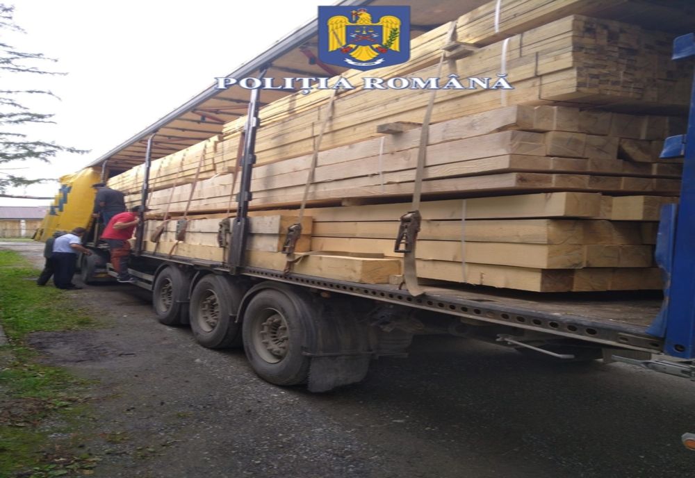 Transport de peste 36 mc de cherestea, confiscat de polițiștii sălăjeni