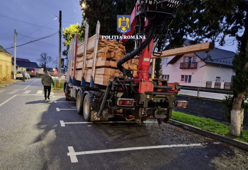 Amenzi de peste 50.000 de lei aplicate de poliţiştii sălăjeni pentru infracţiuni silvice