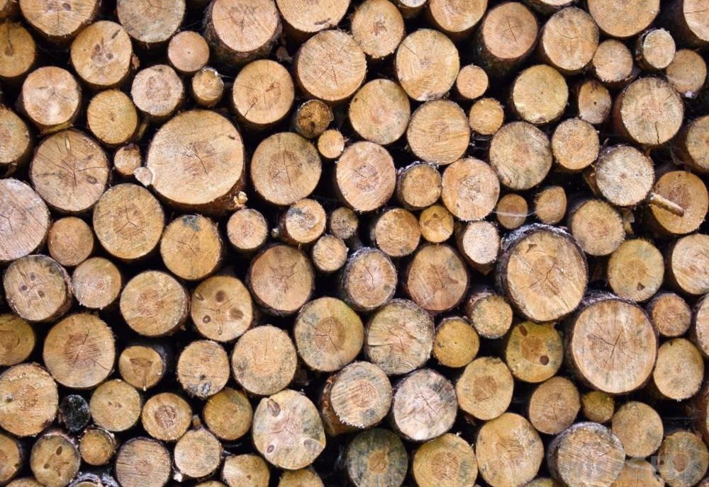 Furt cu repetiție, comis de doi sălăjeni