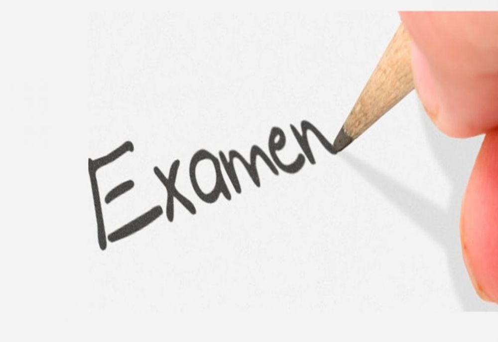 BACALAUREAT 2025. EVALUAREA COMPETENȚELOR DIGITALE - PROBA D