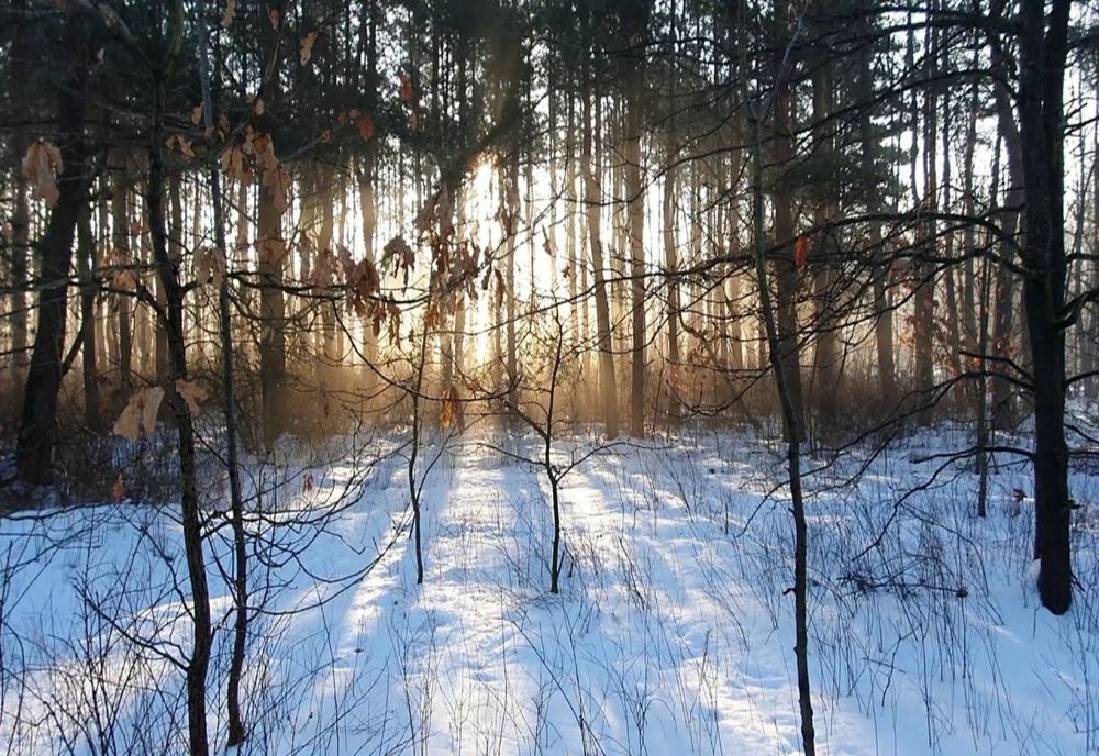 Vremea de CRĂCIUN în fiecare regiune din România: Unde cad ninsori și ploi