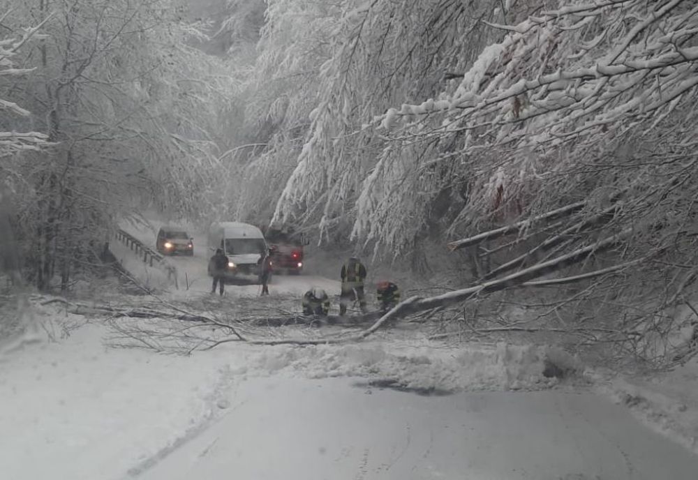 A revenit iarna la munte VIDEO