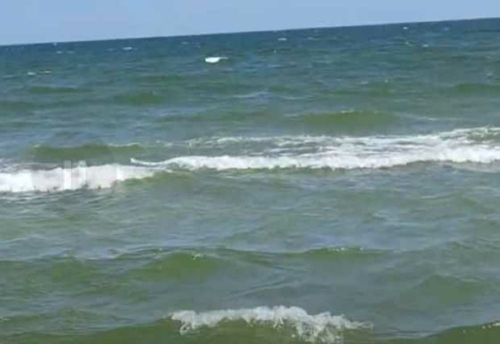 DSP CONSTANȚA A IDENTIFICAT E.COLI ÎN APA MĂRII NEGRE