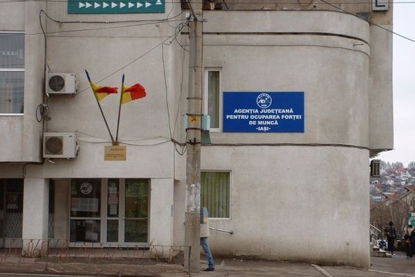 Angajatorii pot primi bani pentru elevii și studenții angajați în perioada vacanței