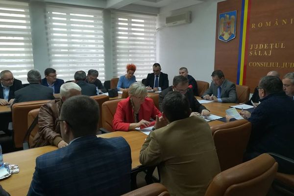 Un nou consilier județean va fi validat în funcție