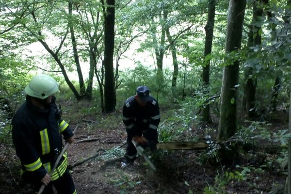 Simulare: pădurea din localitatea Gălpîia, cuprinsă de flăcări