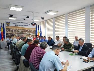 Focar de pestă porcină descoperit într-o pădure din Sălaj! Autoritățile iau măsuri