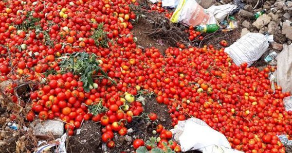 Europarlamentarul sălăjean Daniel Buda: ”Roşiile româneşti ajung la gunoi!”