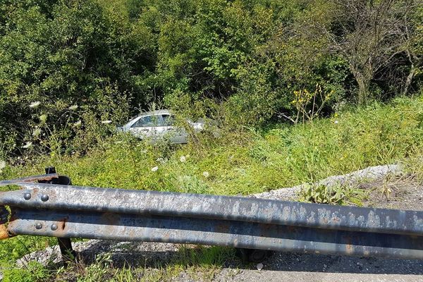 O șoferiță de 18 ani a ajuns cu mașina în...pădurice