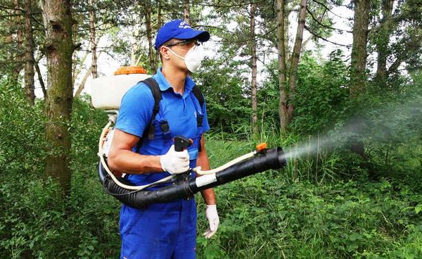 La Zalău începe deratizarea, dezinsecția și dezinfecția!